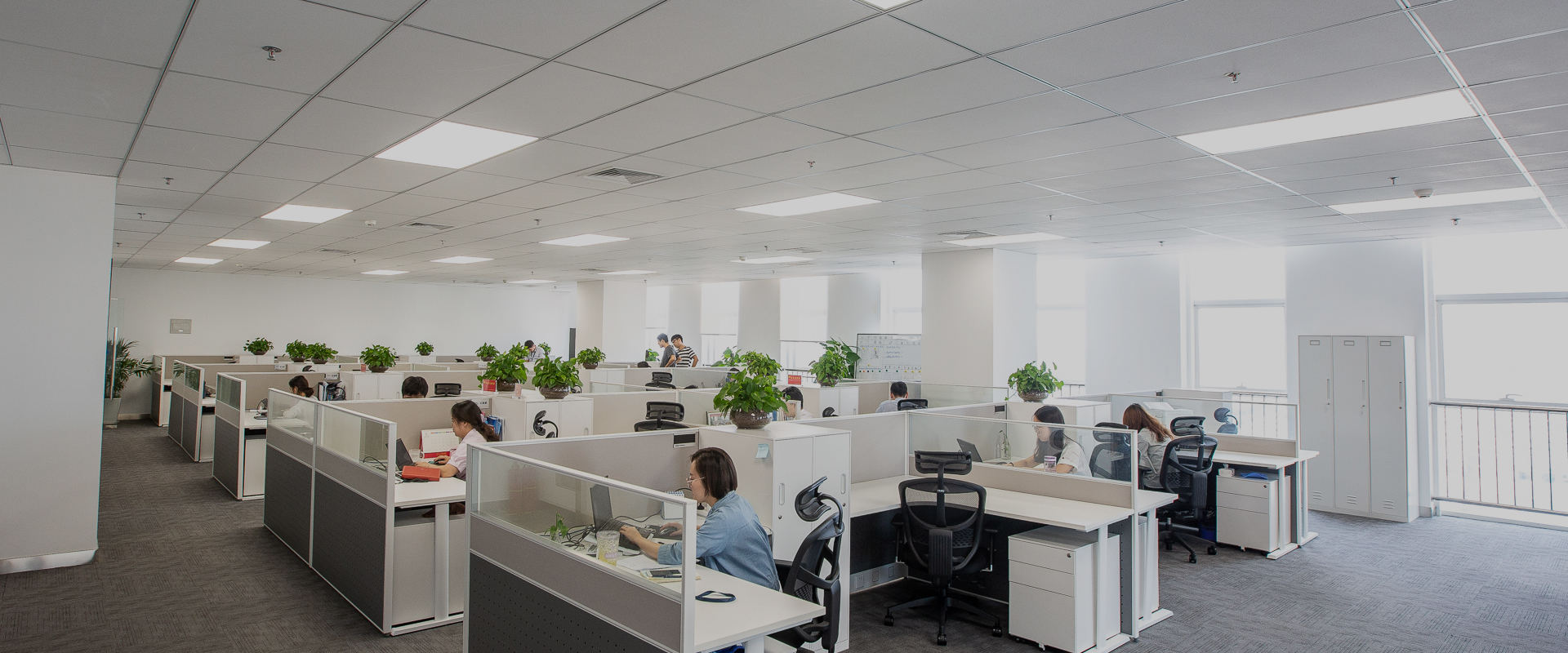 在中汽数据工作