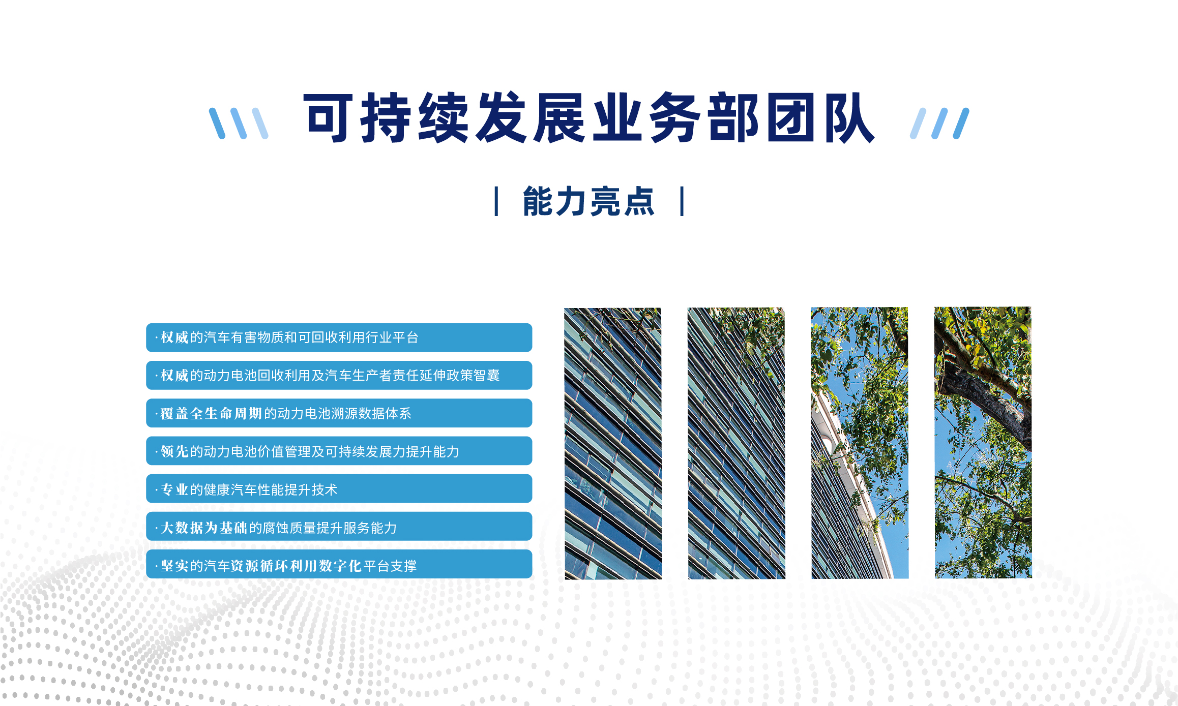 可持续发展业务部团队